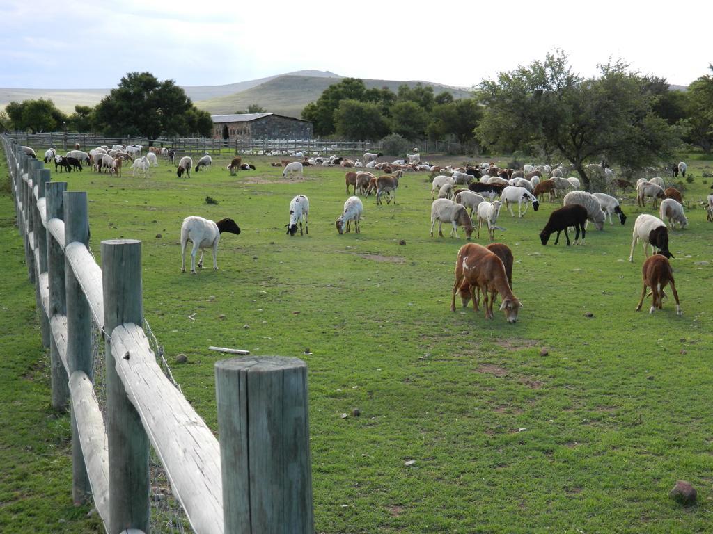 Waterval Farmstay Graaff Reinet Exterior photo